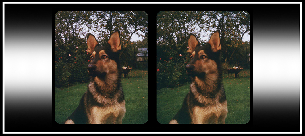 1960s Stereoscopic (3-D) Camera Slides Part&nbsp;1