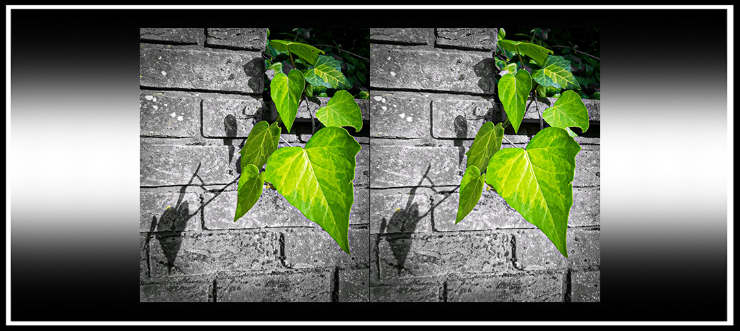 The Stereo Window:&nbsp;Tutorial