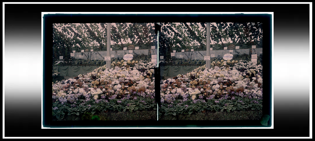 Mr. Mackenstein’s Trial Stereoscopic&nbsp;Autochromes