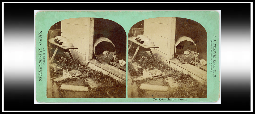 Toxic Heavy Metals Found in 19th Century Stereocard&nbsp;Mounts