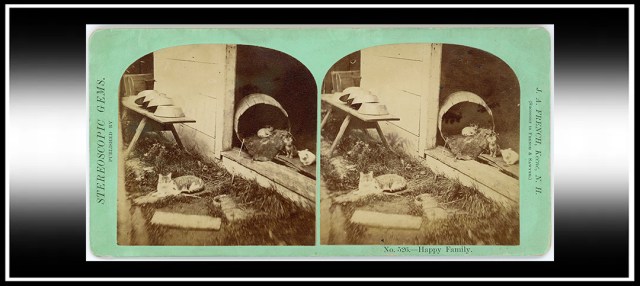 rare stereoview cards Underwood & Underwood Stereoscope Viewer with 18 cards, c. 1889-1906 —  Lanna Antique main image 0