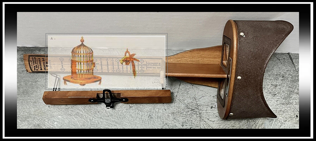 Amblyopia and Brain Plasticity: Exploring Pathways to Restore Stereoscopic&nbsp;Vision