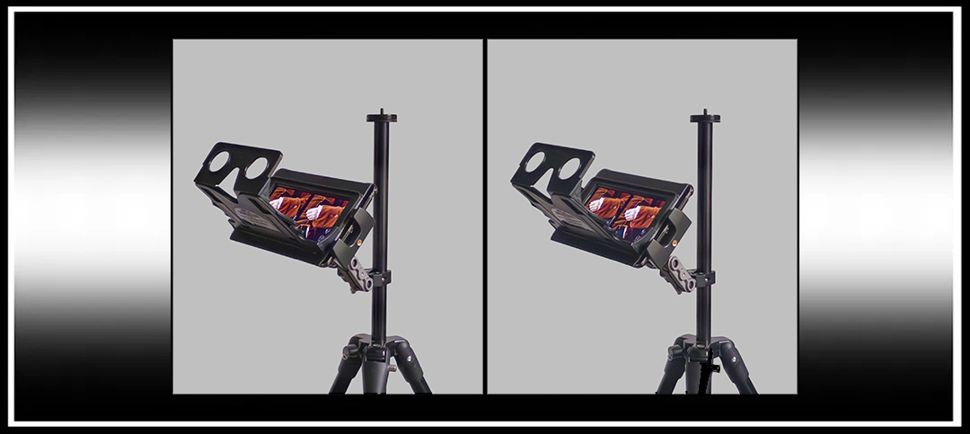 A Digital Stereo&nbsp;Viewer