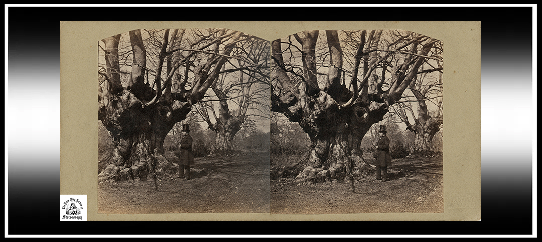 ‘Exchanging Stereoscopic Views’: Free Online Talk Looking at Early Stereoscopic Exchanges, 10th Feb&nbsp;2026