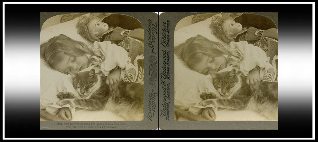 Stereoscopic Parallel/Cross-View Image and Video Swapper: Free Chrome Browser Extension. Step-by-Step Guide