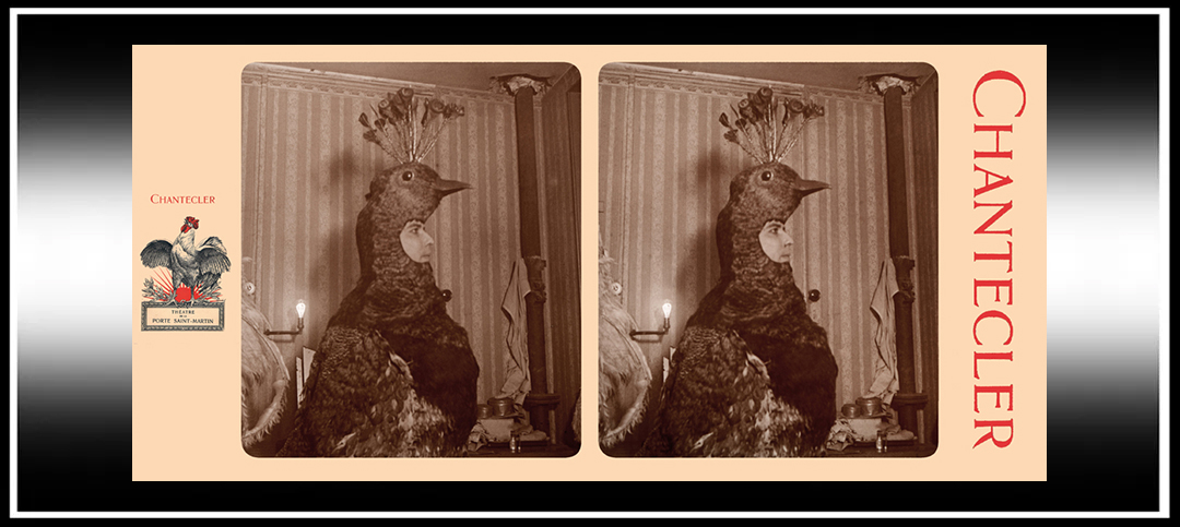 Edmond Rostand’s “Chantecler” in the&nbsp;Stereoscope